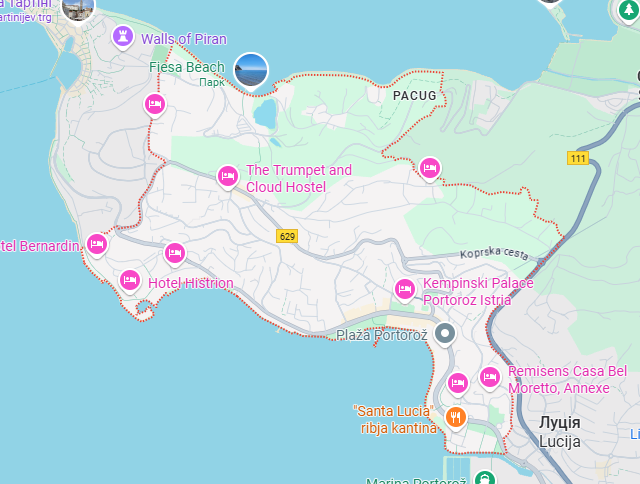 Грузовые перевозки бусом Порторож - Украина